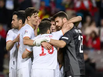 Los jugadores de la selección española celebran la victoria frente a Suiza al final del partido Los jugadores de la selección española celebran la victoria frente a Suiza al final del partido