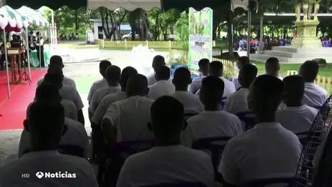 Tailandia despenaliza el cultivo del cannabis y libera a presos condenados por delitos relacionados con su tráfico Tailandia despenaliza el cultivo del cannabis y libera a presos condenados por delitos relacionados con su tráfico