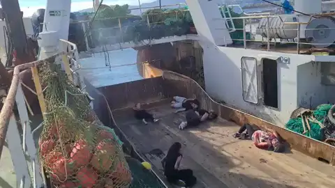 Una simulada explosión en un buque del Puerto de Vigo pone a prueba la gestión de catástrofes de los profesionales de Urgencias Una simulada explosión en un buque del Puerto de Vigo pone a prueba la gestión de catástrofes de los profesionales de Urgencias