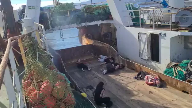 Una simulada explosión en un buque del Puerto de Vigo pone a prueba la gestión de catástrofes de los profesionales de Urgencias Una simulada explosión en un buque del Puerto de Vigo pone a prueba la gestión de catástrofes de los profesionales de Urgencias