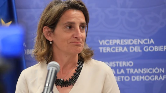 Teresa Ribera Teresa Ribera
