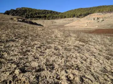 Proceso de desertificación de la tierra Proceso de desertificación de la tierra