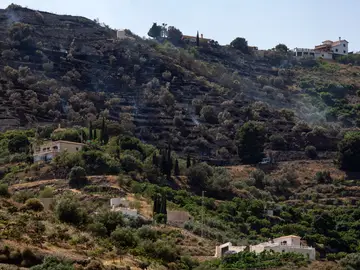 Controlado el incendio en Torrox, Málaga Controlado el incendio en Torrox, Málaga