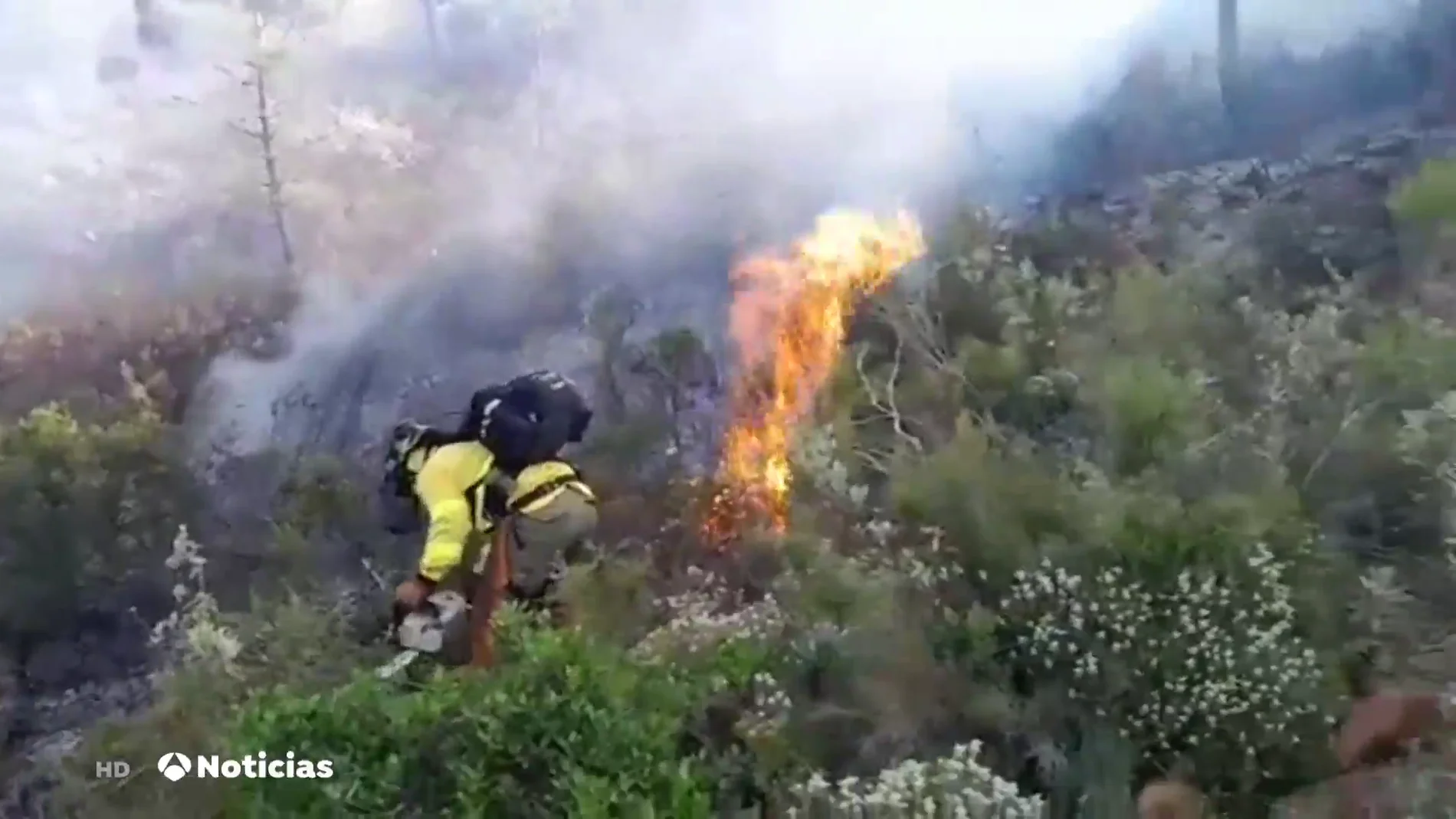 Más de 200 efectivos siguen trabajando para controlar el incendio forestal en Pujerra, Málaga 