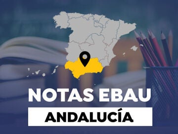 Notas de la EBAU en Andalucía 2022: Resultados de la selectividad