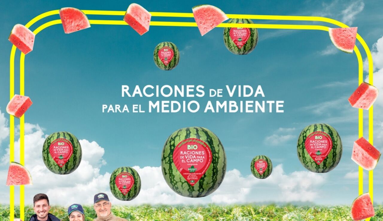 Las sandias Bouquet, un cultivo cien por cien nacional que conjuga producción convencional y Bio