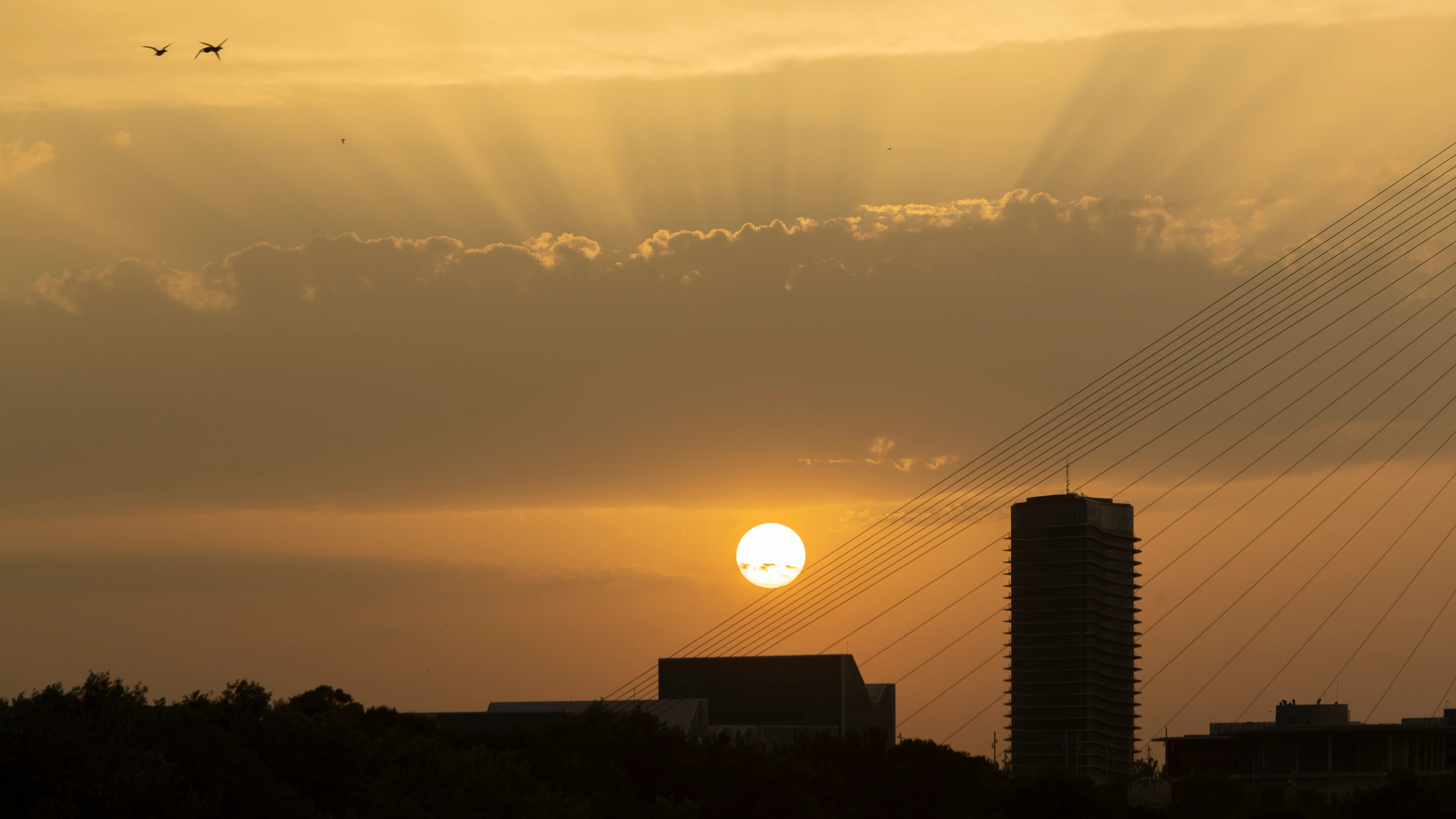 Amaneciendo en Zaragoza durante la ola de calor Amaneciendo en Zaragoza durante la ola de calor