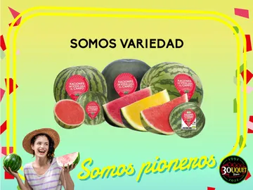 Las variedades de las sandías Bouquet Las variedades de las sandías Bouquet