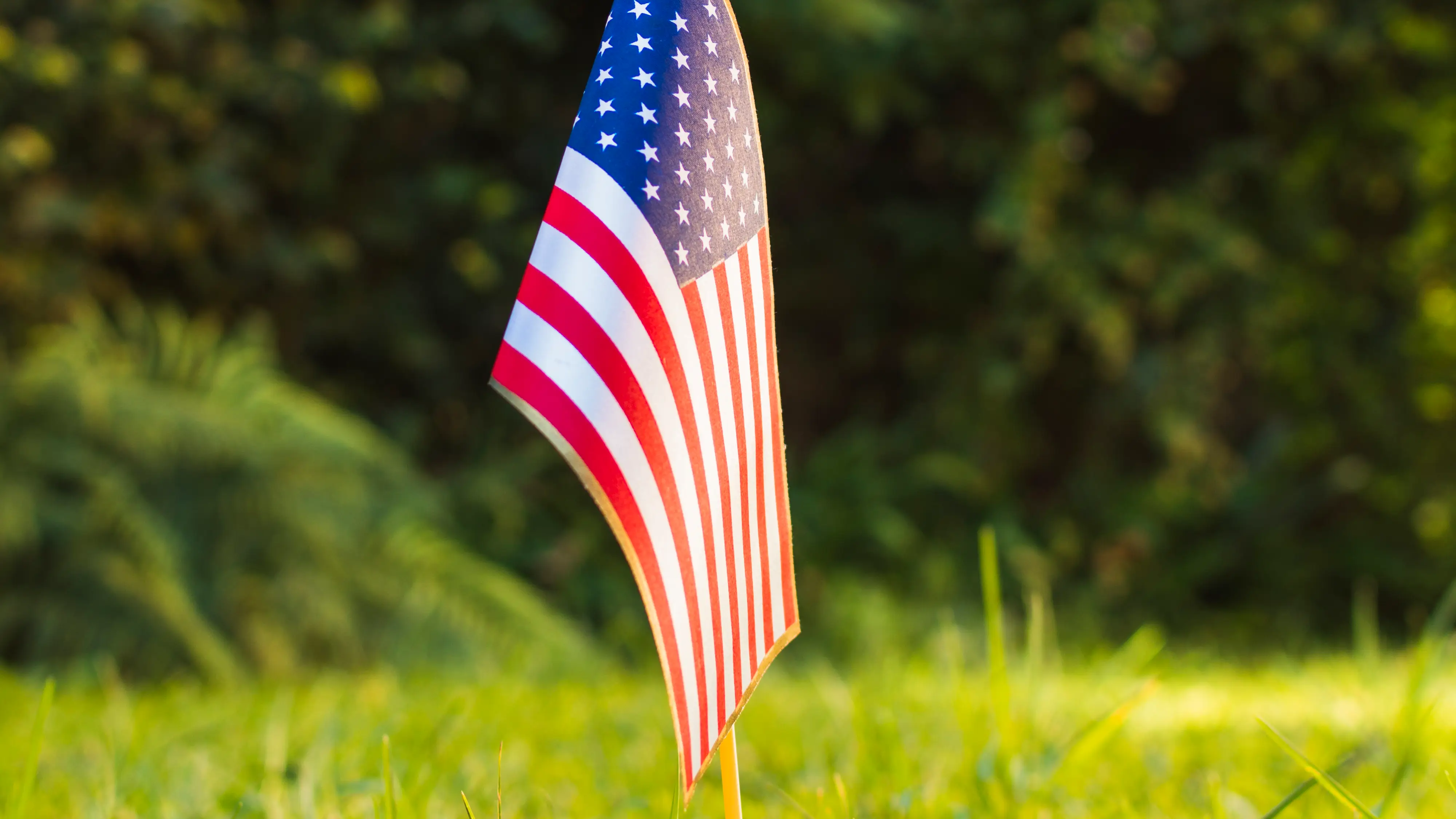Bandera de Estados Unidos