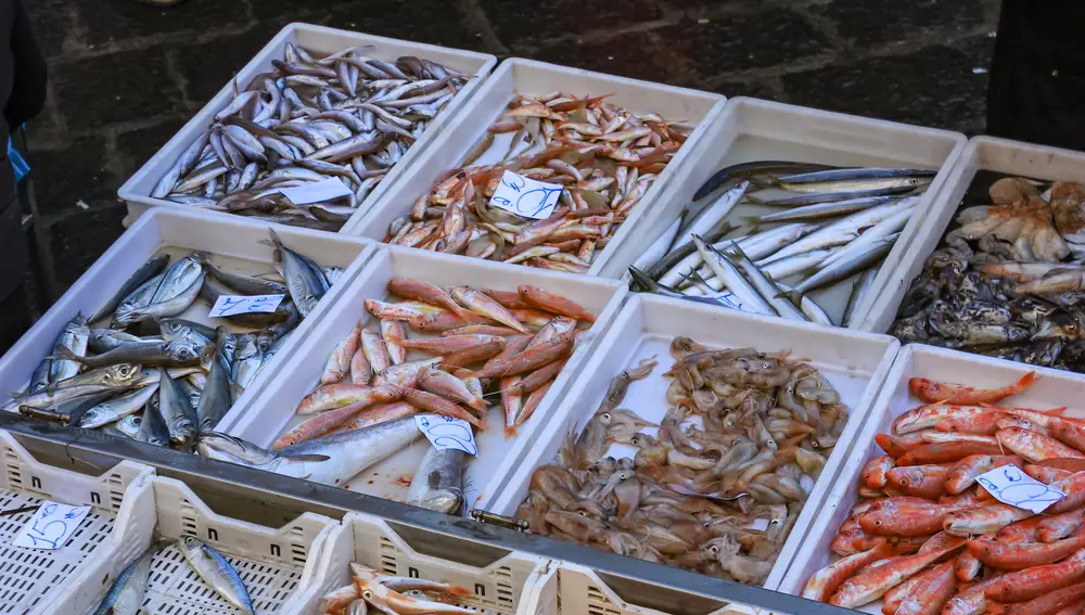Una selección de pescados frescos