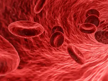 Golpe al cáncer: las claves del tratamiento que frena el avance de la metástasis Golpe al cáncer: las claves del tratamiento que frena el avance de la metástasis