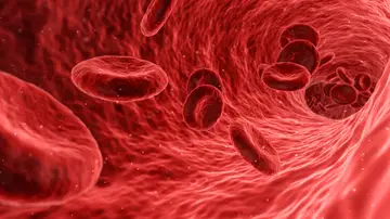 Golpe al cáncer: las claves del tratamiento que frena el avance de la metástasis Golpe al cáncer: las claves del tratamiento que frena el avance de la metástasis