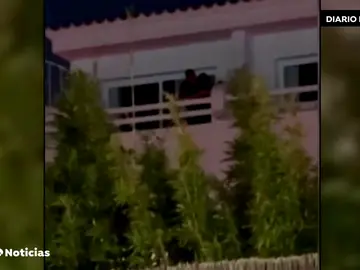 Detenido un turista en Ibiza mientras golpeaba a su pareja en un hotel Detenido un turista en Ibiza mientras golpeaba a su pareja en un hotel