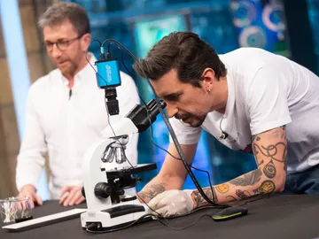 Ciencia en 'El Hormiguero 3.0' Ciencia en 'El Hormiguero 3.0'