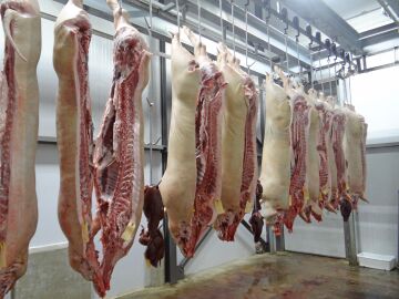 El Seprona clausura un matadero ilegal ubicado en El Molar que vendía carne sin control sanitario