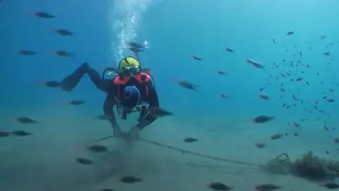 Pescadores furtivos cazan pulpos con lejía Pescadores furtivos cazan pulpos con lejía