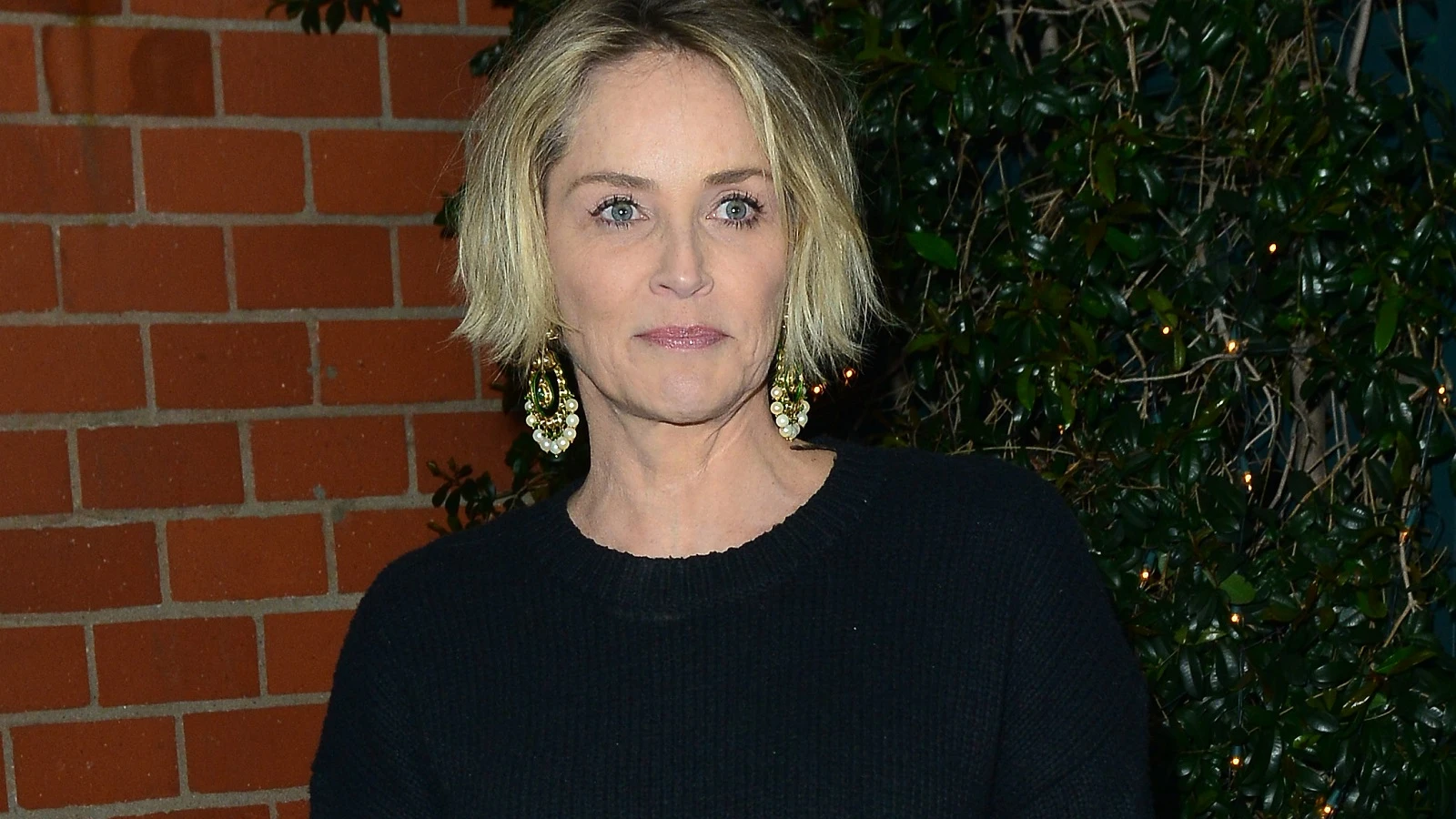 Sharon Stone Sharon Stone