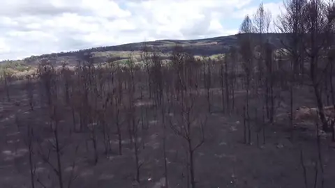 Incendio Zamora Incendio Zamora