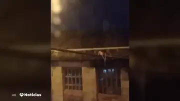 Vecinos de una calle de Vigo conviven con las ratas en las ventanas: "Tienen el tamaño de conejos" Vecinos de una calle de Vigo conviven con las ratas en las ventanas: "Tienen el tamaño de conejos"