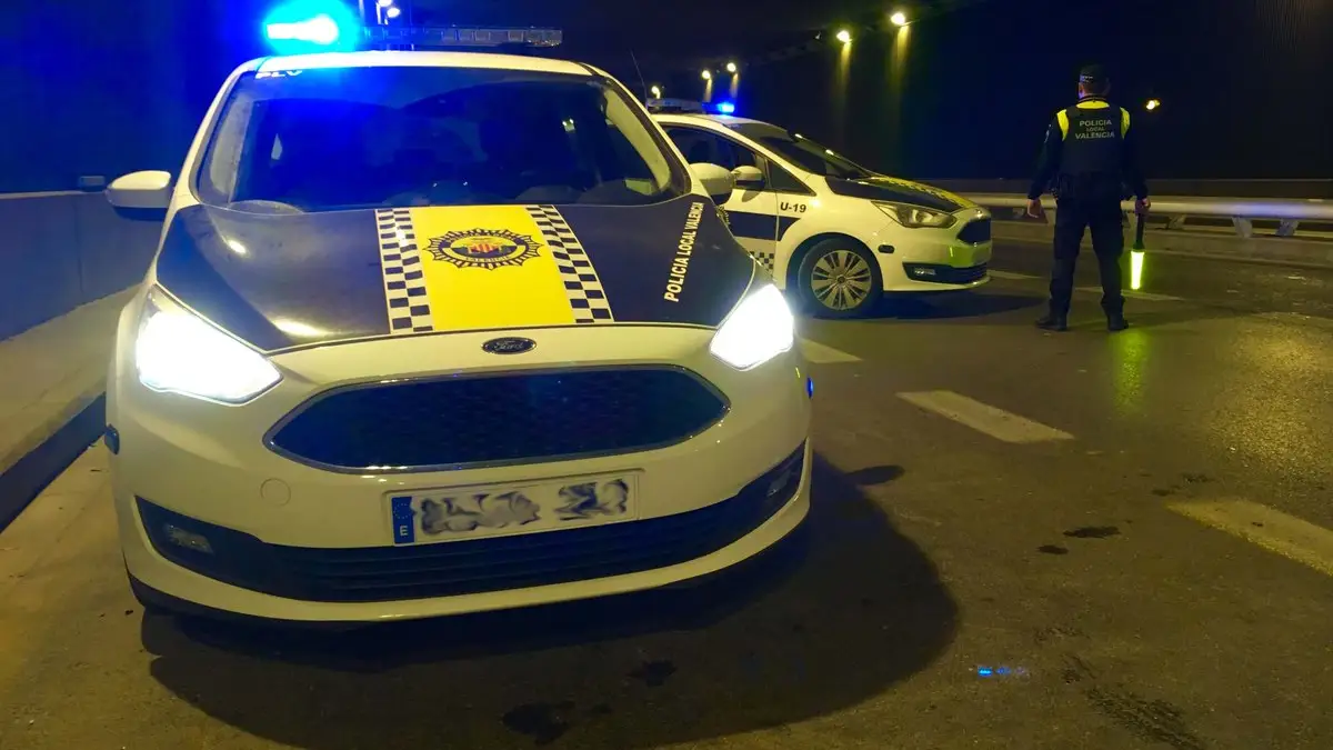 Detienen al presunto responsable de 142 robos con fuerza en Valencia