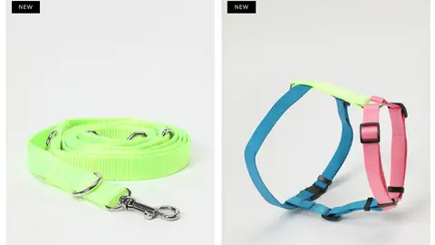 Arnés mascota Arnés mascota