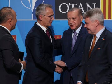 El secretario general de la OTAN, Jens Stolteneberg, estrecha la mano del presidente turco, Recep Tayyip Erdogan