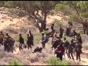 Las imágenes difundidas por Marruecos del intento de salto a la valla de Melilla
