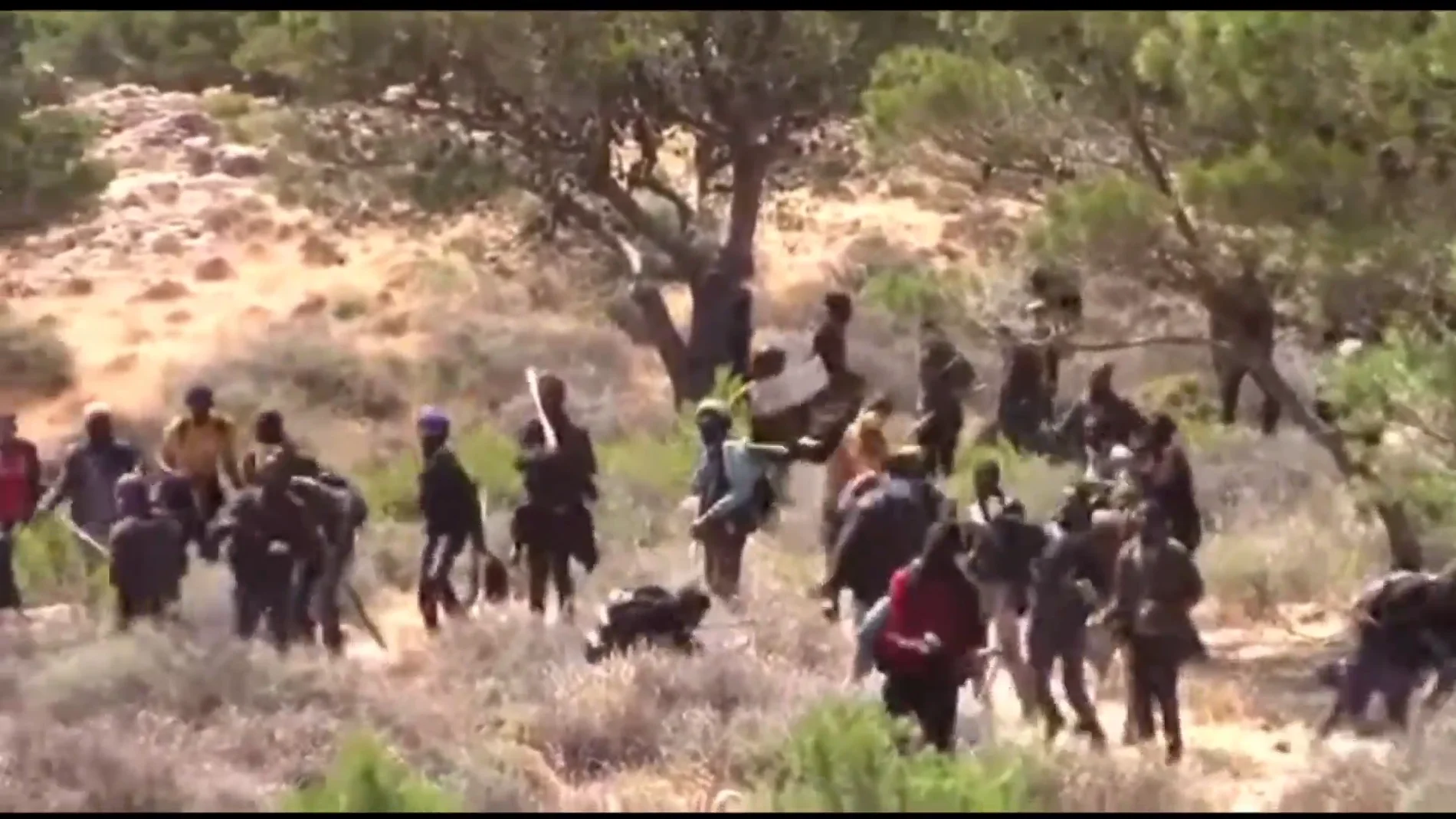 Las imágenes difundidas por Marruecos del intento de salto a la valla de Melilla
