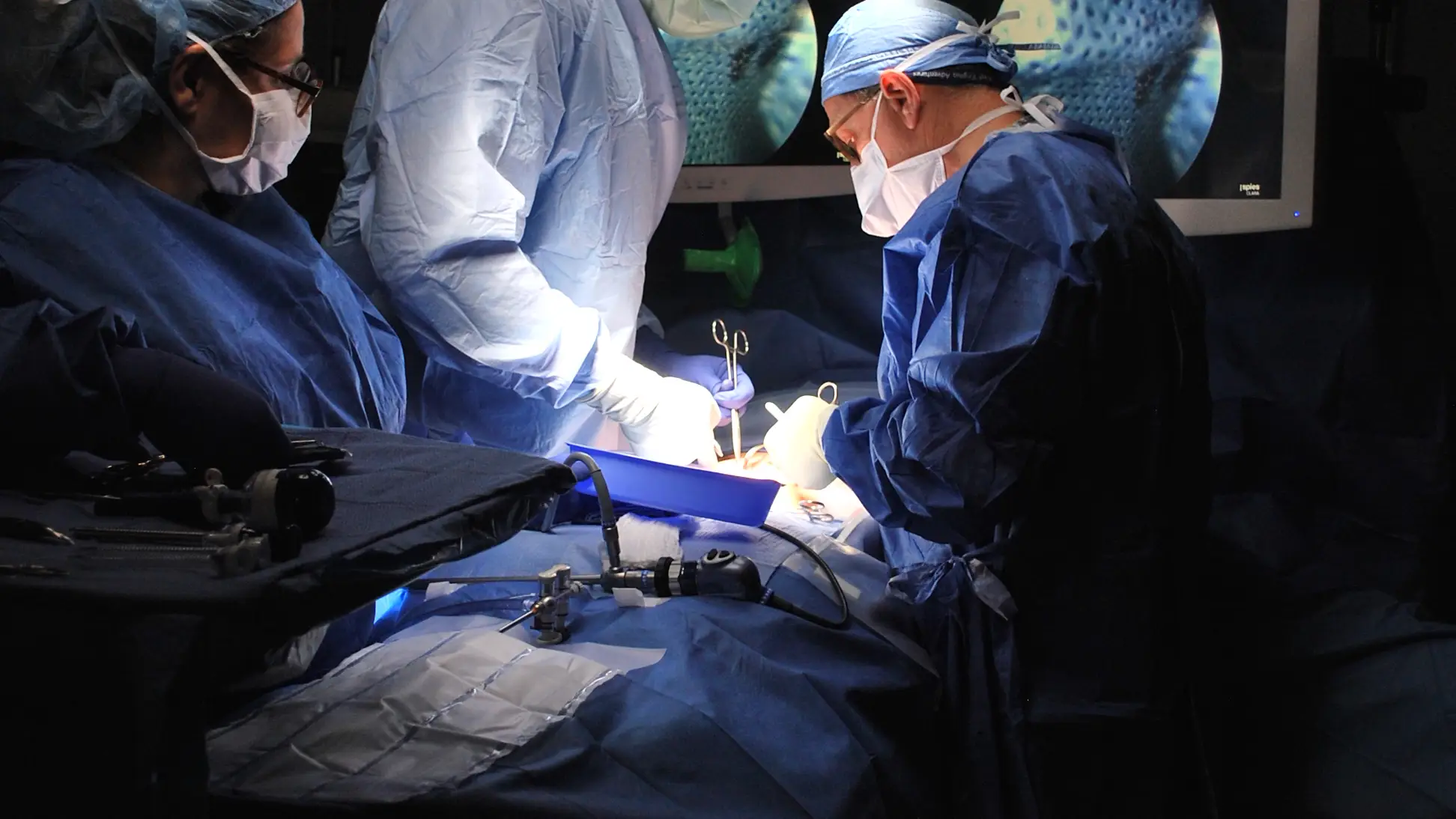 Condenan a una doctora por destrozar el intestino de una embarazada Condenan a una doctora por destrozar el intestino de una embarazada