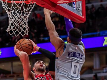 Miles Bridges, jugador de los Charlotte Hornets, defendiendo en un partido contra los Chicago Bulls