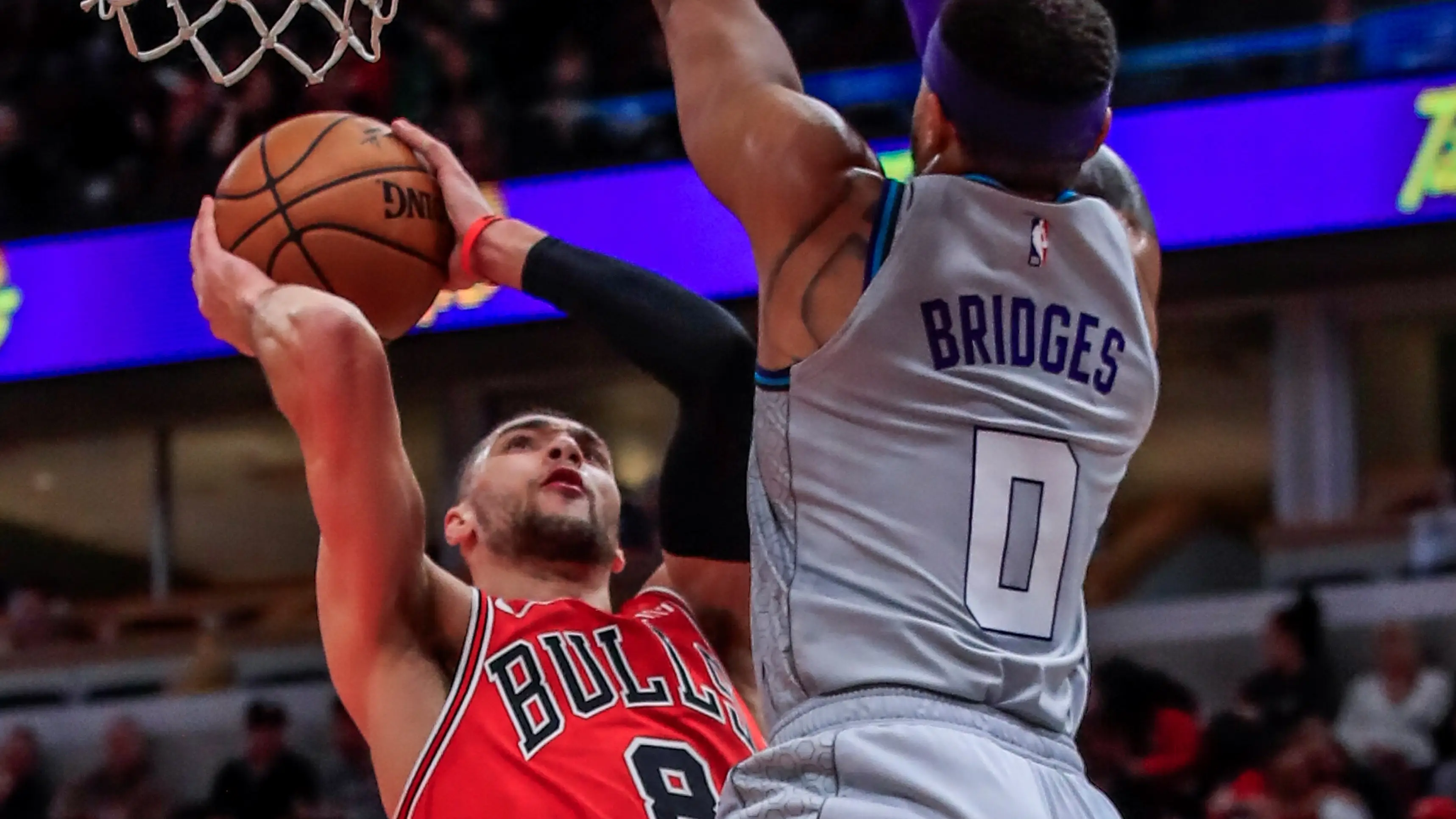 Miles Bridges, jugador de los Charlotte Hornets, defendiendo en un partido contra los Chicago Bulls Miles Bridges, jugador de los Charlotte Hornets, defendiendo en un partido contra los Chicago Bulls