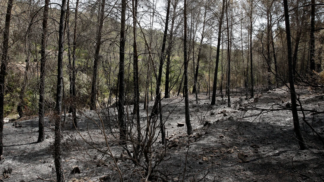 Problemas que causan los incendios 
