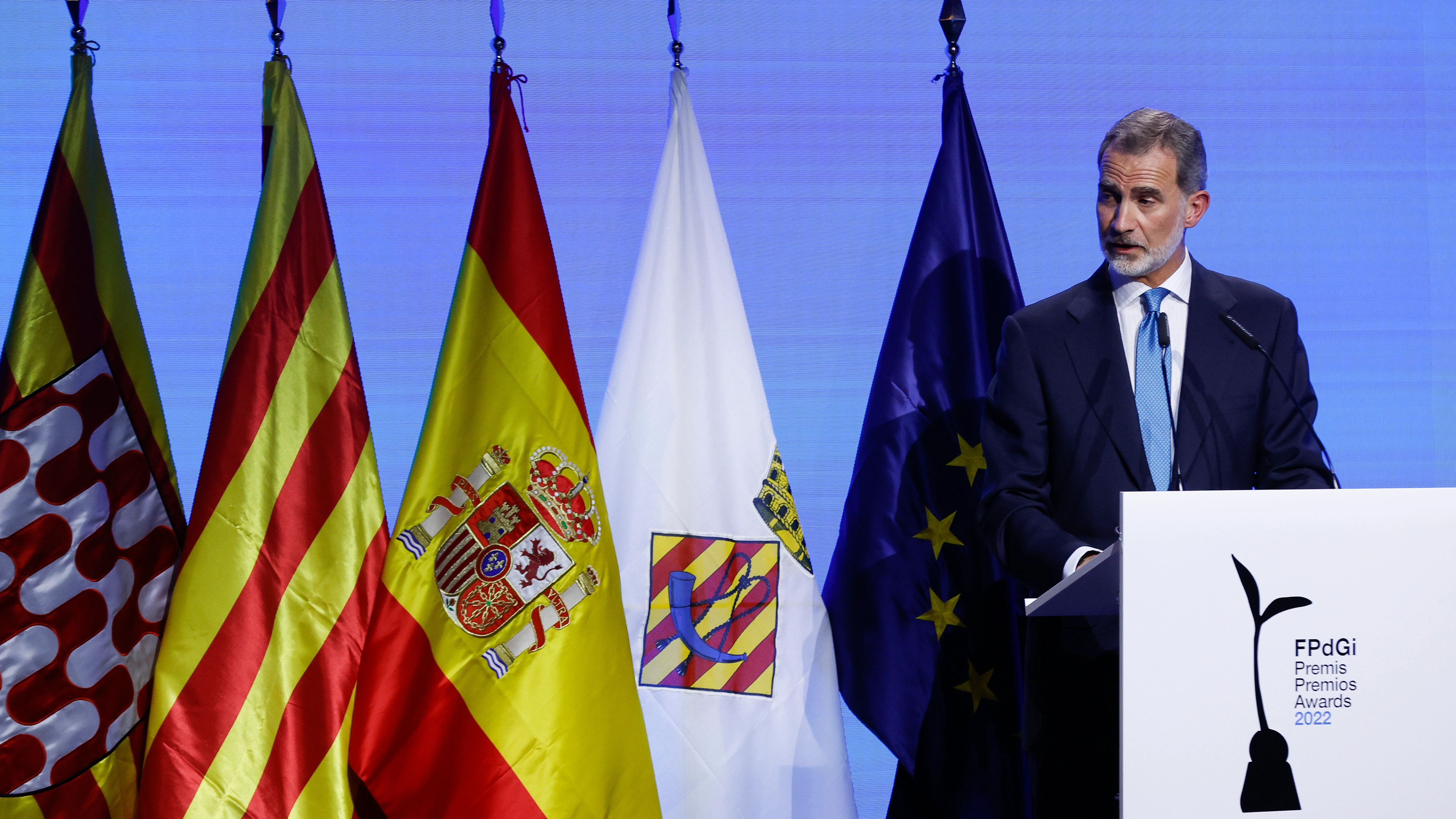 El rey Felipe VI pronuncia un discurso durante la ceremonia de entrega de los Premios Fundaci&oacute;n Princesa de Girona (FPdGi)