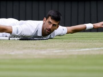 Novak Djokovic 'vuela' hacia las semifinales