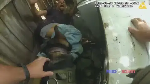 El perro policía en el momento de la detención Un perro policía encuentra a un presunto autor de robos