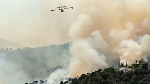 Incendio foretsal Incendio foretsal