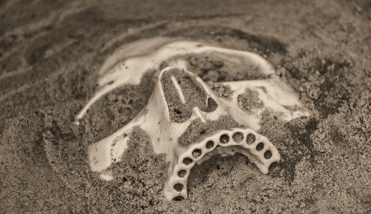 Encontrados huesos humanos en una playa de Tarragona
