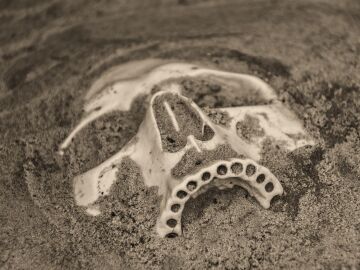 Encontrados huesos humanos en una playa de Tarragona