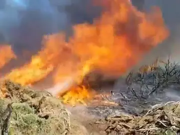 Incendio Ávila Incendio Ávila