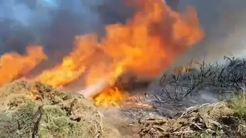 Incendio Ávila Incendio Ávila