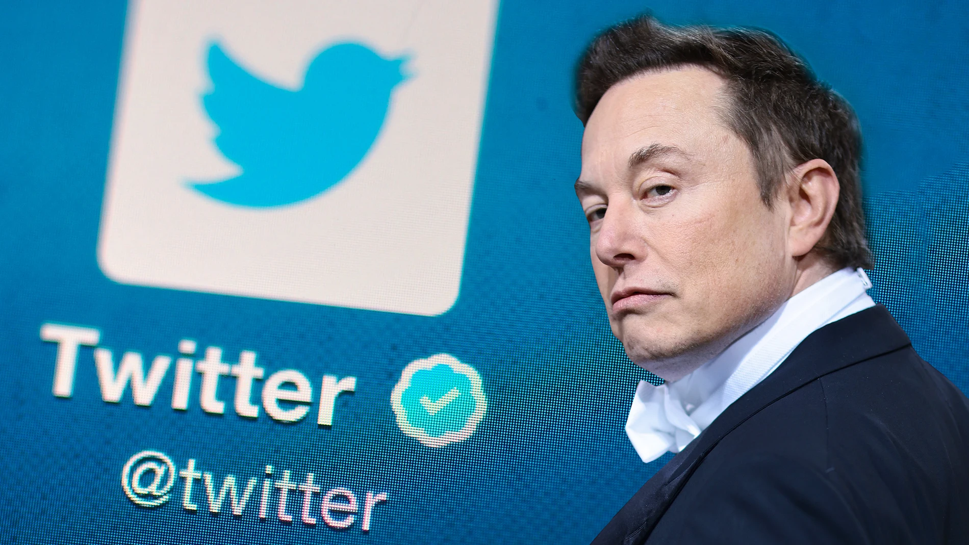 Elon Musk sigue adelante con la compra de Twitter por el precio original  acordado