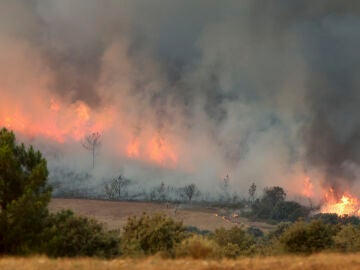El incendio del Monfragüe avanza y el de Salamanca ha obligado a desalojar hasta 10 localidades