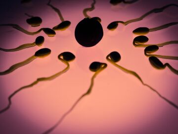 Un ginecólogo utilizó su propio esperma para inseminar a más de 40 mujeres