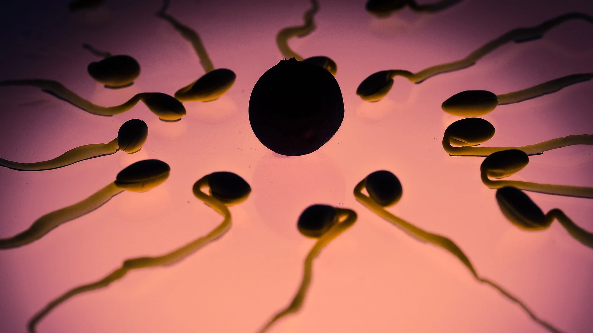 Un ginecólogo utilizó su propio esperma para inseminar a más de 40 mujeres