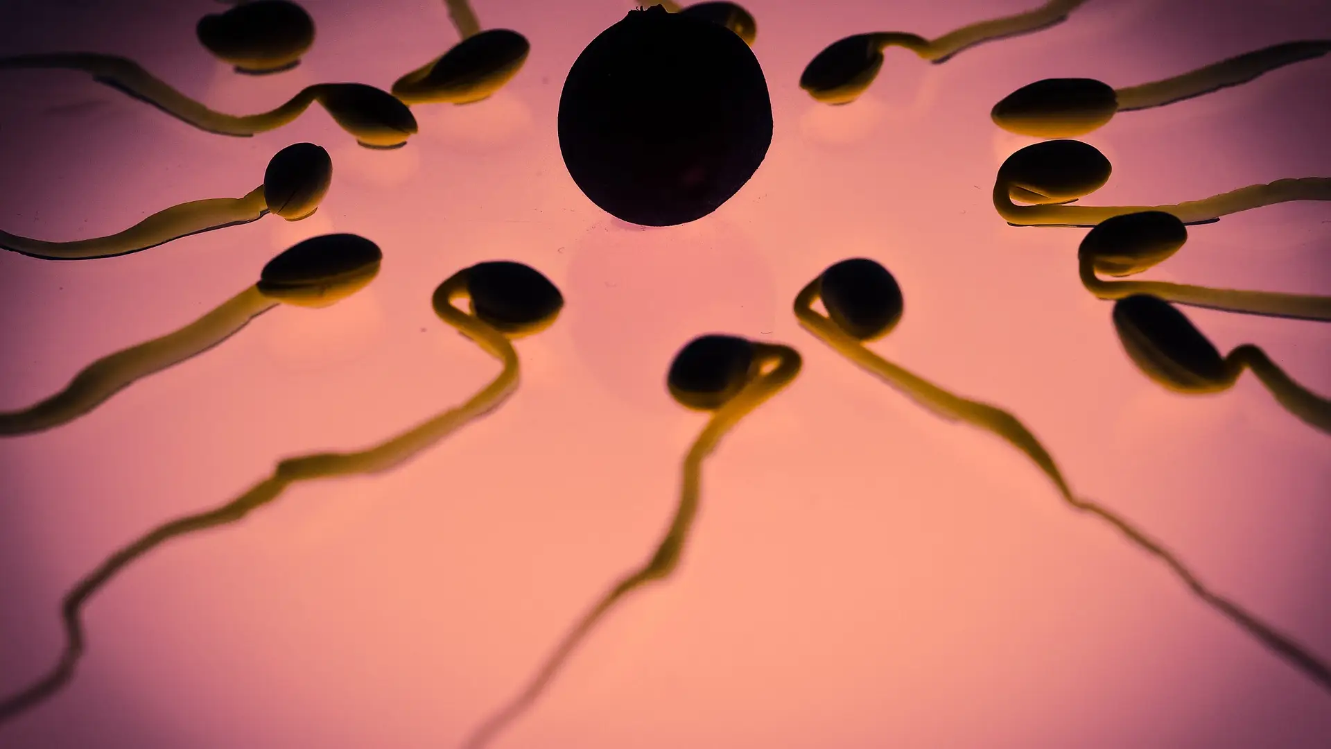 Un ginecólogo utilizó su propio esperma para inseminar a más de 40 mujeres Un ginecólogo utilizó su propio esperma para inseminar a más de 40 mujeres