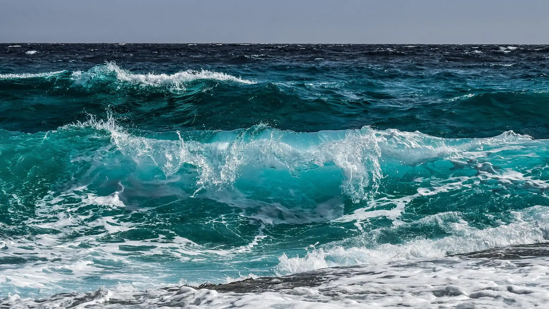 Capturan un pez remo gigante que podría predecir una catástrofe natural en Chile Capturan un pez remo gigante que podría predecir una catástrofe natural en Chile