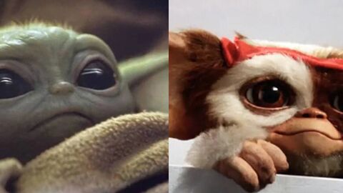 Baby Joda y Gizmo