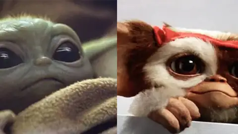 Baby Joda y Gizmo Baby Joda y Gizmo
