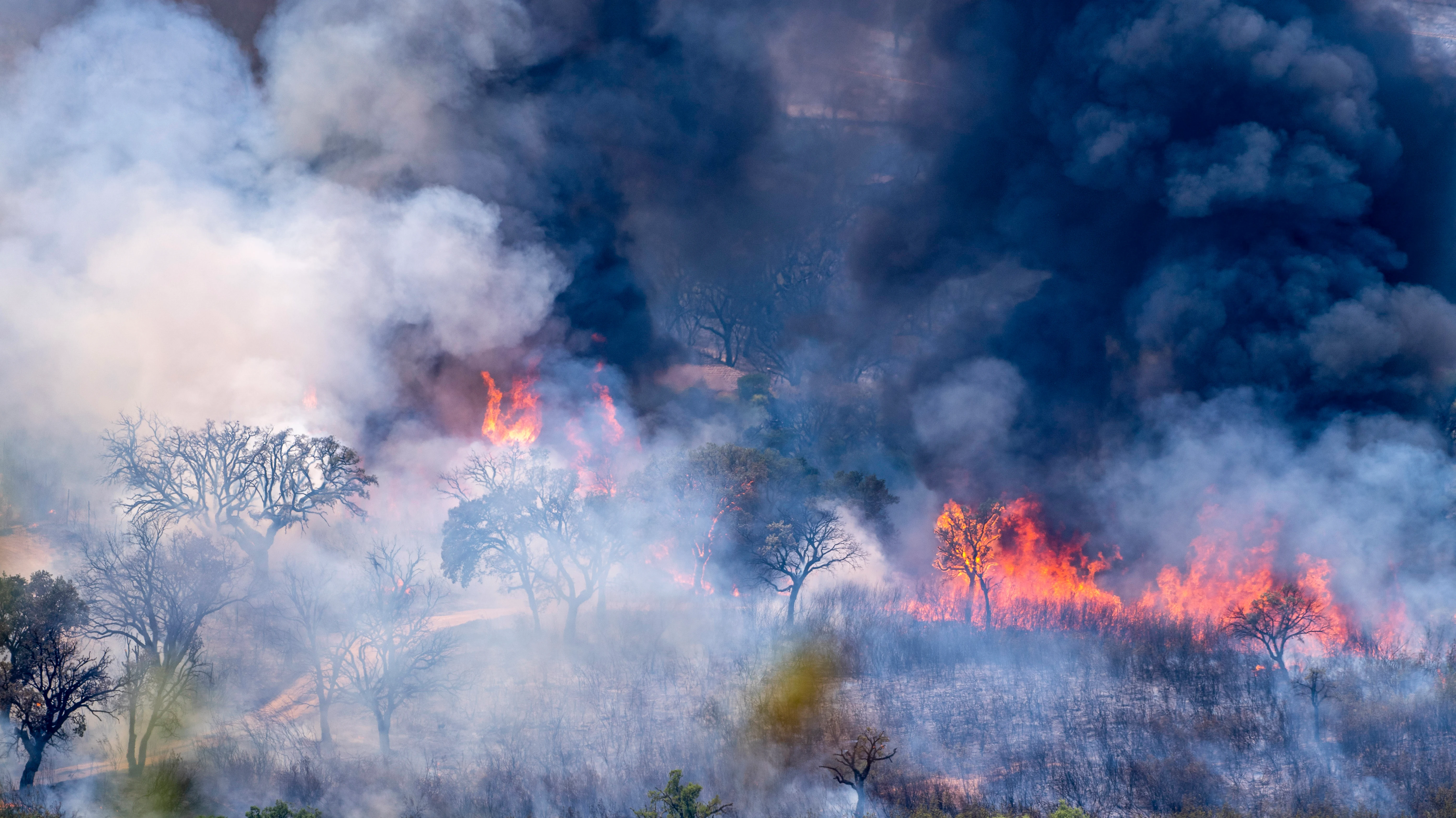Incendio activo en el Parque Nacional de Monfragüe Incendio activo en el Parque Nacional de Monfragüe