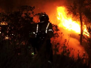 Bomberos luchan contra las llamas